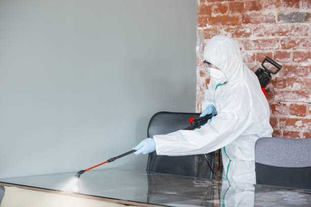 Best Mold Documentation for Insurance Claims  in Belford, NJ